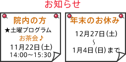 2008年11月