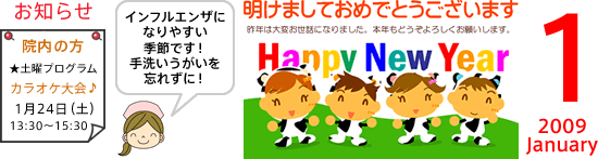 2009年1月