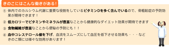 きのこにはこんな働きがある！